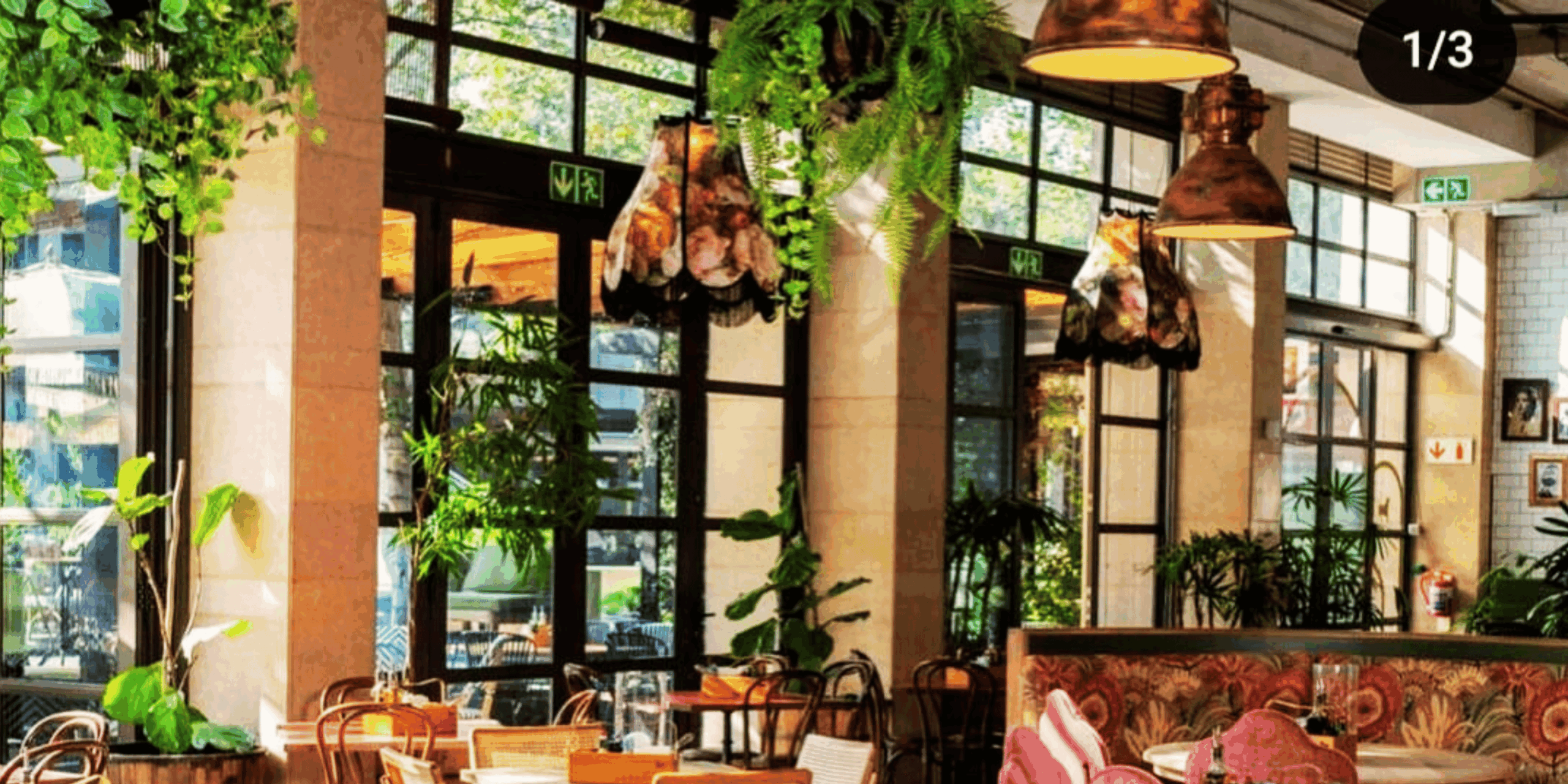 Restaurant Lamp Shade